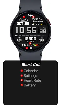 SamWatch Max 2025 screenshot 3