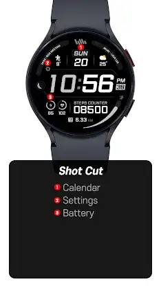 SamWatch PointColor 43 II screenshot 3