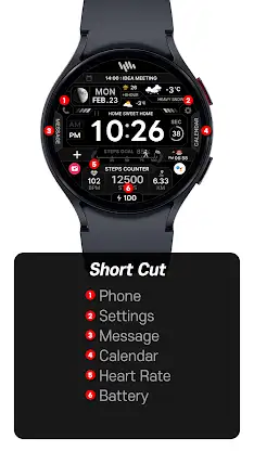 SamWatch Signature Active screenshot 3