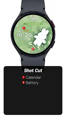 SamWatch T Toon R・T V11 screenshot 3