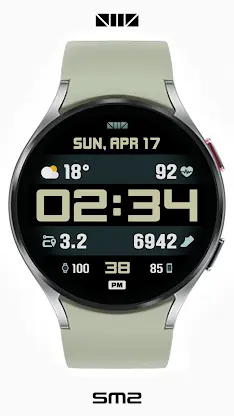 SMZ DE003 screenshot 3