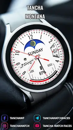 Tancha Montana screenshot 4