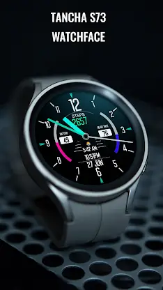 Tancha S73 Watch Face screenshot 2