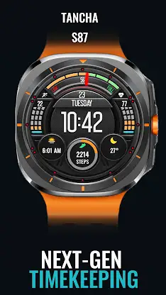 Tancha S87 ActiveFace screenshot 1