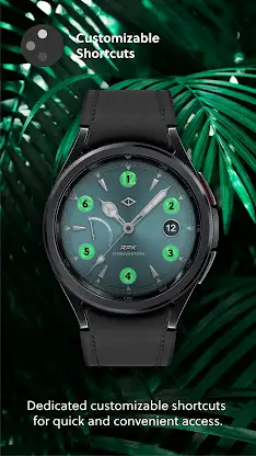 Terraventura Analog Watch Face screenshot 3