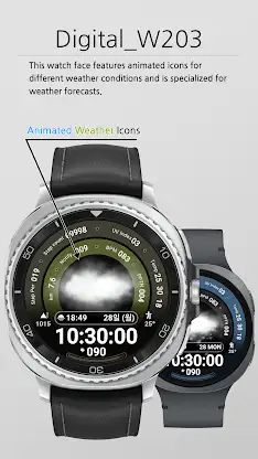 Digital W203 screenshot 1