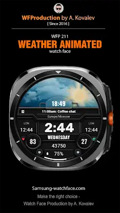 WFP 211 Weather animated watch screenshot 1
