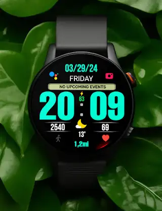 BIG 24 Digital Watchface screenshot 7