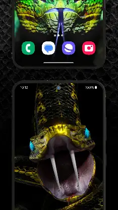 Snake Wallpaper HD + Keyboard screenshot 4