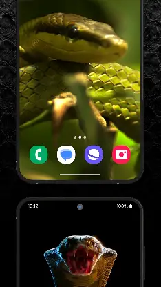 Snake Wallpaper HD + Keyboard screenshot 5