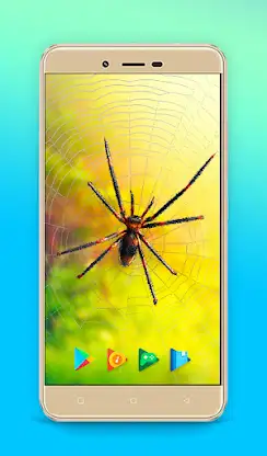 Spider Keyboard & Wallpaper screenshot 4