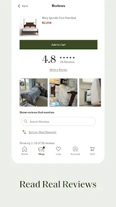 Birch Lane screenshot 5
