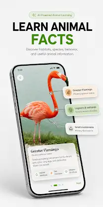 Wildlife Sound Track screenshot 4