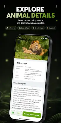 Wildlife Sound Track screenshot 5