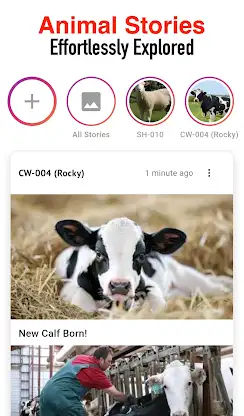 Animal Breeding, Birth Manager screenshot 6