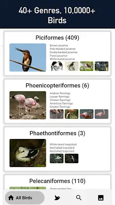 Bird Finder - All Birds screenshot 2