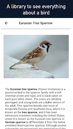 Bird Finder - All Birds screenshot 1