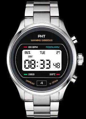 Vintage Classic Watch Face screenshot 1