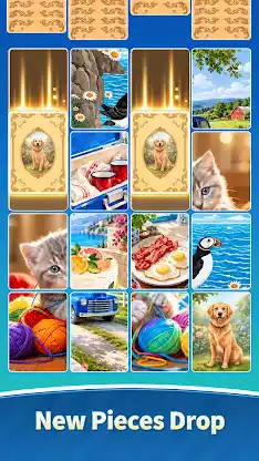 Photo Drop Puzzle screenshot 3