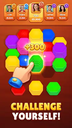 Hexa Stack: Farb-Sortierpuzzle screenshot 4