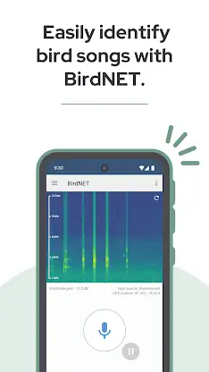 BirdNET screenshot 1