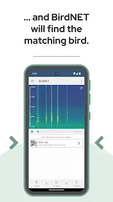 BirdNET screenshot 5