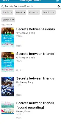 Dublin City Libraries screenshot 3