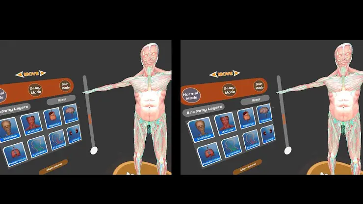 Human Anatomy 4D In VR AR MR screenshot 4