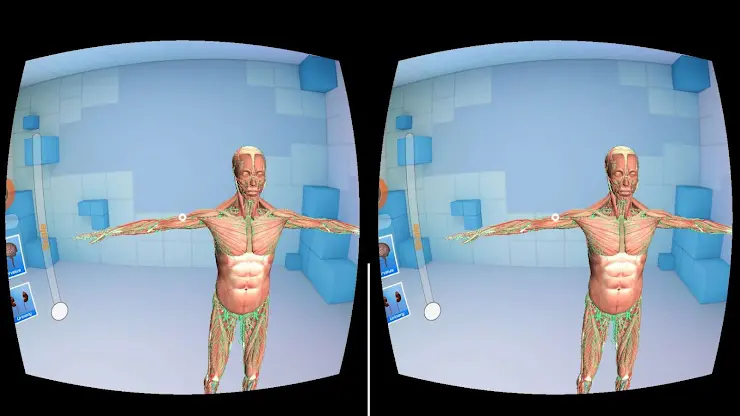Human Anatomy 4D In VR AR MR screenshot 5