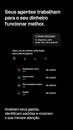 Pierre: IA financeira pessoal screenshot 3