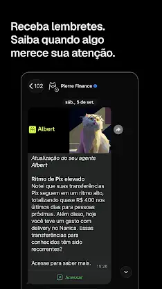 Pierre: IA financeira pessoal screenshot 7