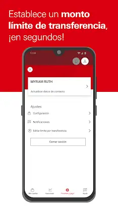 HSBC México screenshot 6