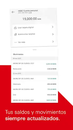 HSBC México screenshot 2