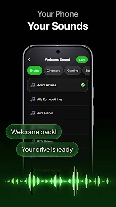 Carbit: My Car Play Widgets screenshot 5