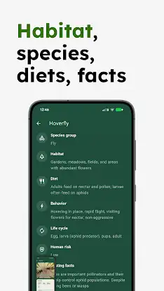 Insect Identifier - Insectr screenshot 4