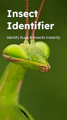 Insect Identifier - Insectr screenshot 1