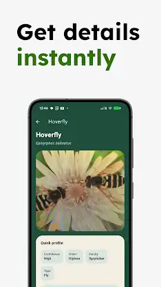 Insect Identifier - Insectr screenshot 3