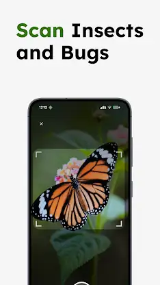 Insect Identifier - Insectr screenshot 2