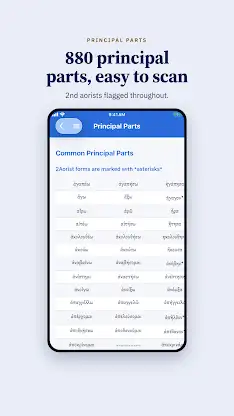 iGreek: NT Greek Grammar screenshot 8