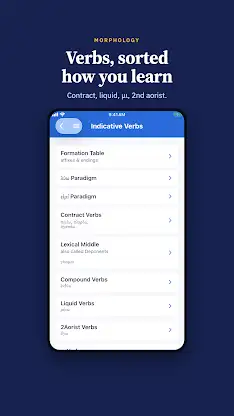 iGreek: NT Greek Grammar screenshot 5