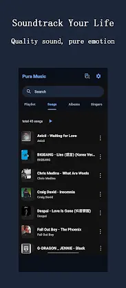 Pura - Offline Player screenshot 2