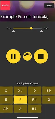 ABRSM SfMT Practice Partner screenshot 5