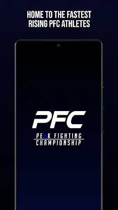 Peak Fighting screenshot 1