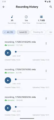 Webhook Voice Automation (Rec) screenshot 4