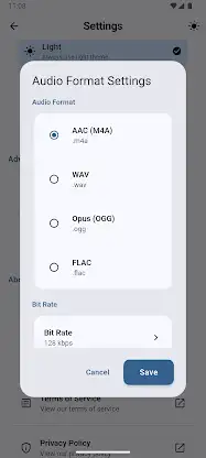Webhook Voice Automation (Rec) screenshot 3