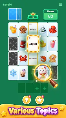 Category Match Solitaire screenshot 3