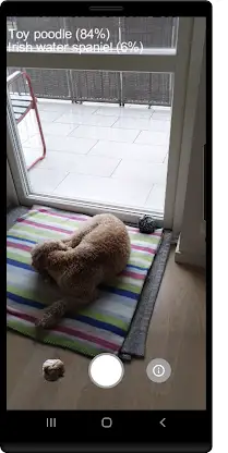 Dog Camera screenshot 2