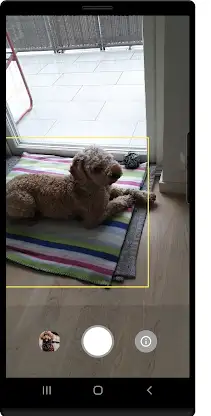Dog Camera screenshot 1