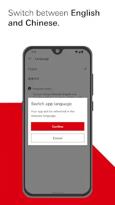HSBC Singapore screenshot 2