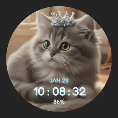 Fluffy Cute Cat screenshot 2